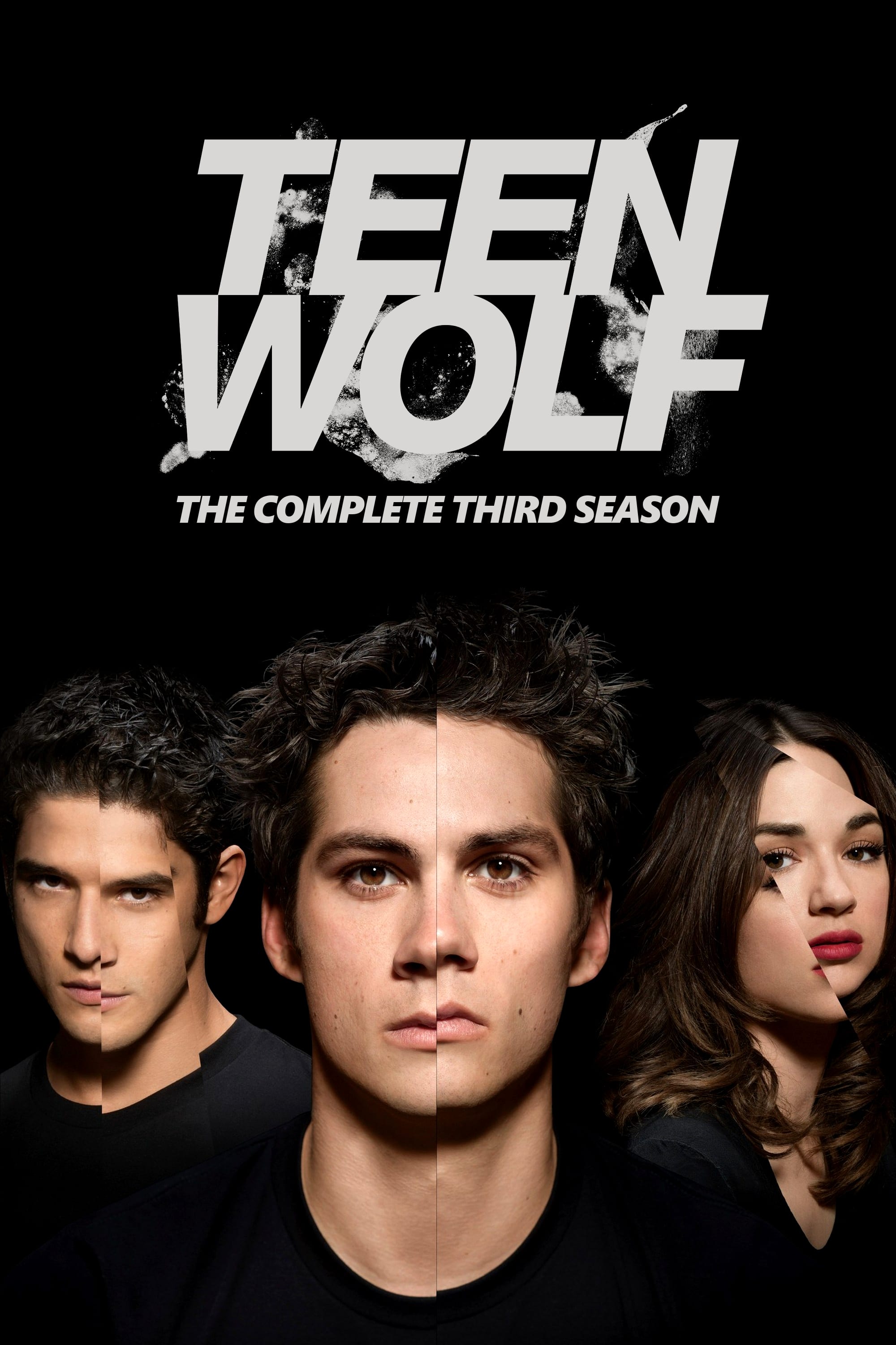 مسلسل Teen Wolf الموسم الثالث الحلقة 8