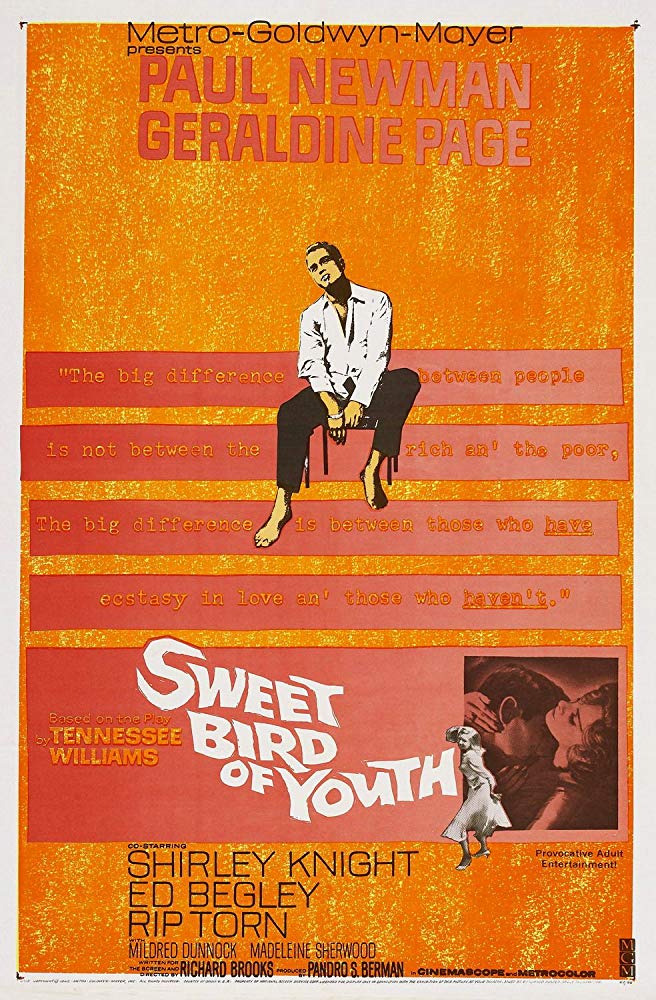 مشاهدة فيلم Sweet Bird of Youth 1962 مترجم