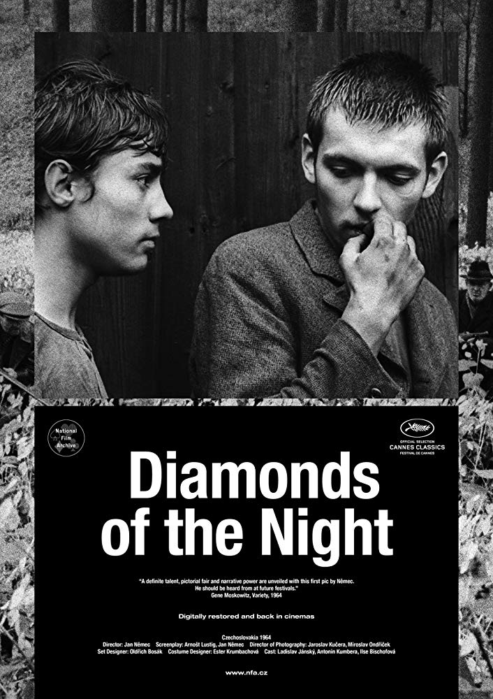 مشاهدة فيلم Diamonds of the Night 1964 مترجم