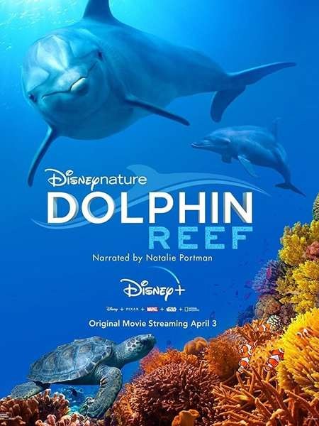 فيلم Dolphin Reef 2020 مترجم كامل