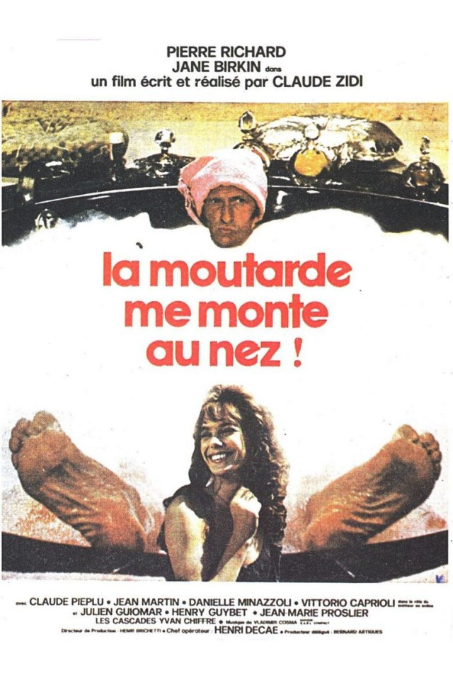 مشاهدة فيلم I’m Losing My Temper (1974) / La moutarde me monte au nez (ترجمة حصرية)