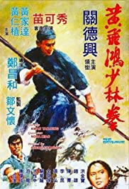 مشاهدة فيلم The Skyhawk 1974 / Huang Fei Hong xiao lin quan مترجم