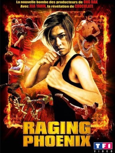 مشاهدة فيلم Raging Phoenix 2009 مترجم