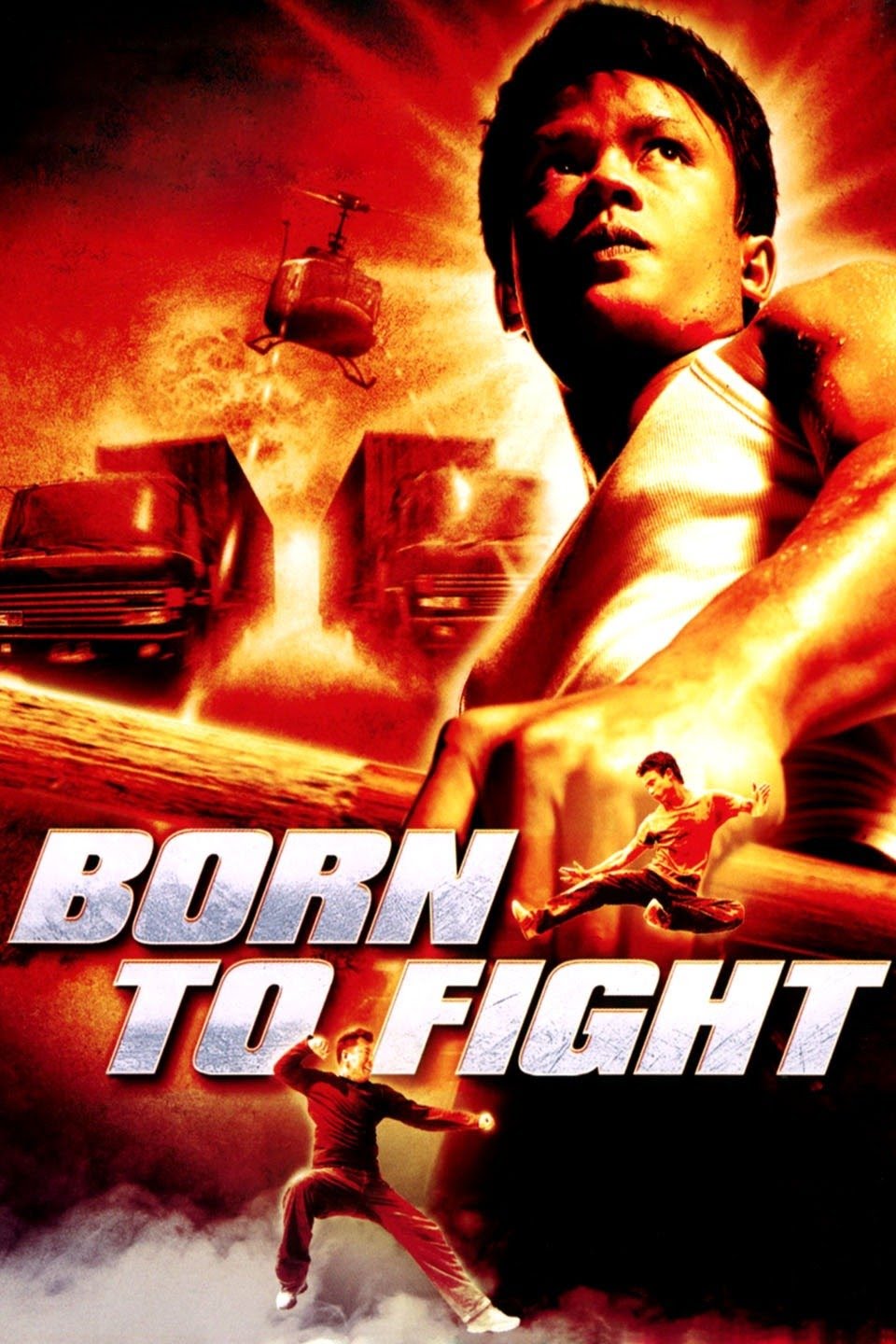مشاهدة فيلم Born to Fight 2004 مترجم