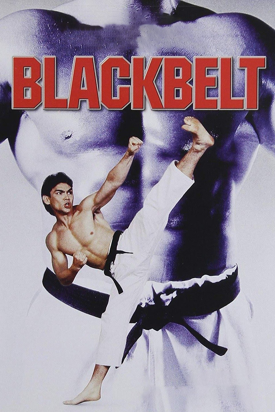مشاهدة فيلم Blackbelt (1992) مترجم