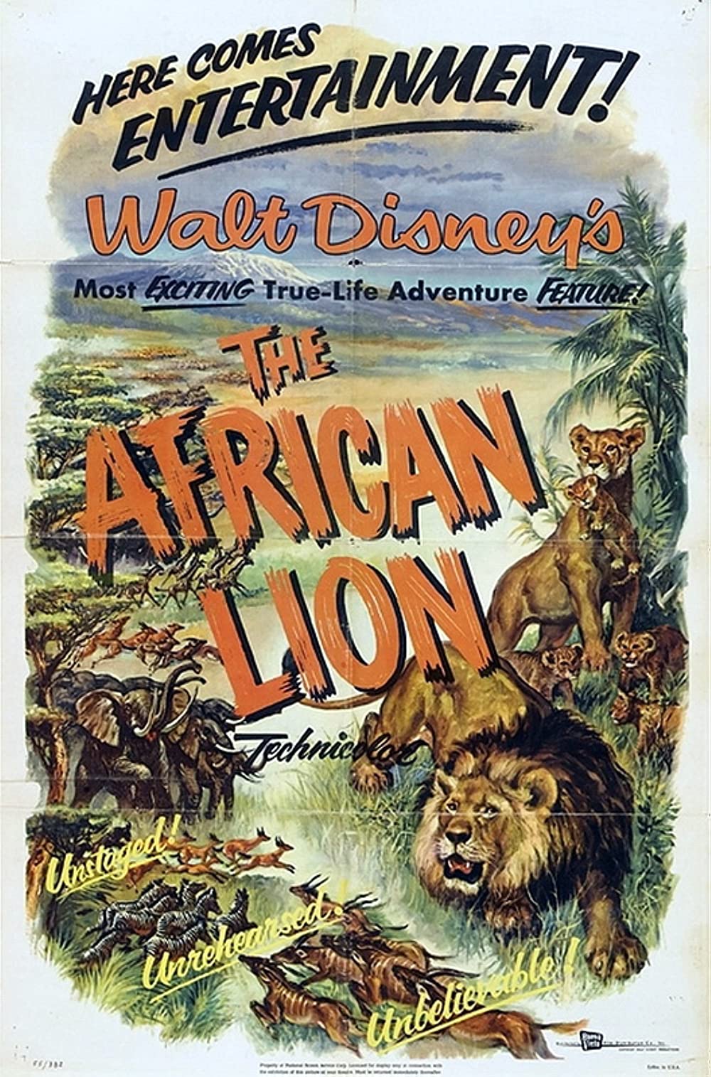 مشاهدة فيلم The African Lion 1955 مترجم