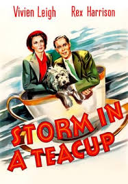 مشاهدة فيلم Storm in a Teacup 1973 مترجم
